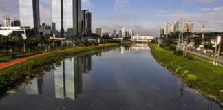 A poluição difusa e a requalificação do Rio Pinheiros