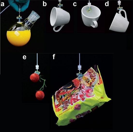 010160170608-pegador-inspirado-lagartixas