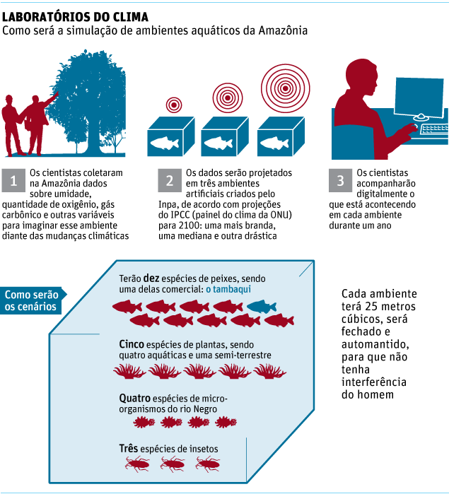 Estudo simulará aquecimento amazônico e suas consequências