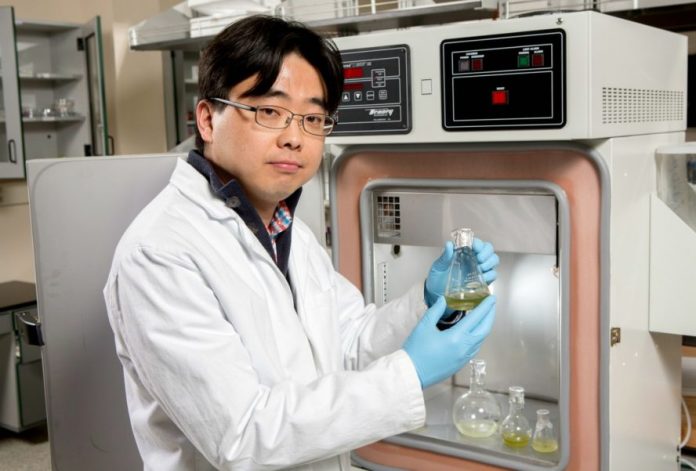 Cientista cria bateria que gera energia com apenas uma gota de saliva