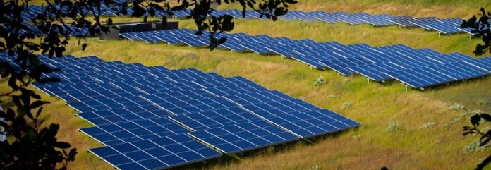 O custo da energia solar caiu mais de 30% em um ano nos Estados Unidos