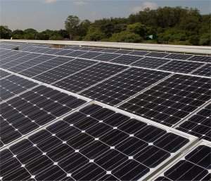 Microrganismos reduzem eficiência de painéis solares