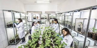 Tecnologias digitais vão transformar o agronegócio