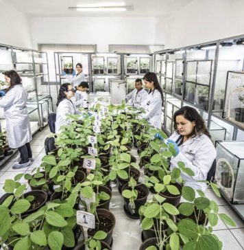 Tecnologias digitais vão transformar o agronegócio
