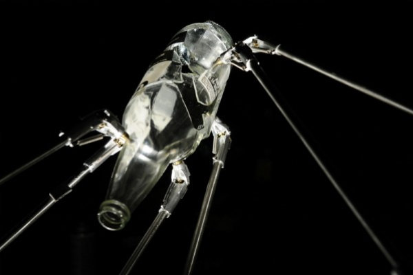 Instalação mostra impacto de garrafa de vidro na parede