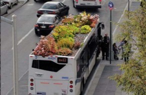 imagem_noticia_4_4485