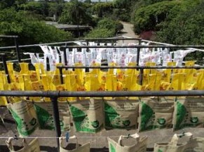 imagem_noticia_4_6399