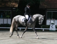 Manege N.D/Instituto de Engenharia conquistou 1º lugar em provas de adestramento na SHP