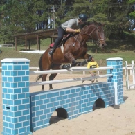 Aulas de equitação: 2º no ranking regional 2007 pela FPH