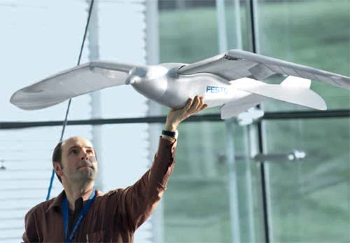 Pássaro robô só falta cantar