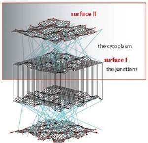 “Skins” arquitetônicas: prédios terão pele para se adaptar ao clima