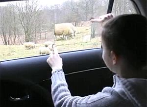 Montadora cria janela de carro que funciona como tablet