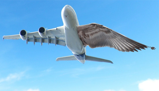 Por que os aviões mudam o sentido de pouso e decolagem nas pistas? - UOL  Economia