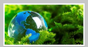 Material técnico – Projetos e Mercado de Carbono no Brasil