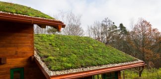 Material Técnico – Estudo preliminar do potencial de purificação da água de chuva de duas espécies de plantas utilizadas no telhado verde