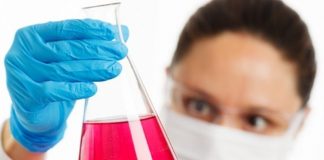 Dois novos prêmios celebram a presença feminina na ciência