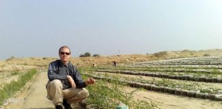 Um norueguês desenvolveu uma tecnologia que transforma areia do deserto em solo fértil para plantio