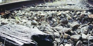 IE NA MÍDIA – Estradas de ferro encolheram 25% desde a década de 60