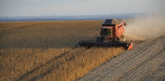 Como a Internet das Coisas está ajudando a revolucionar o agronegócio