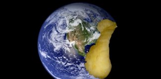 Dia da Sobrecarga da Terra: recursos naturais do planeta para 2018 se esgotam neste 1º de agosto!