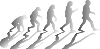 Genialidade ou embotamento?