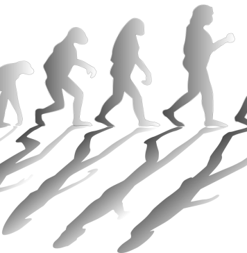 Genialidade ou embotamento?