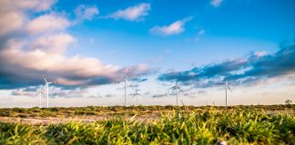 Eólica será segunda maior fonte de energia do Brasil em 2019