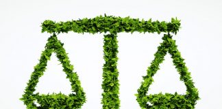 Material Técnico – Que licenciamento ambiental queremos? – Aspectos polêmicos do PL3729/2004