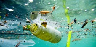 Seminário Por um Mar Limpo