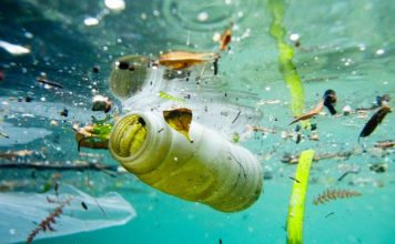 Seminário Por um Mar Limpo
