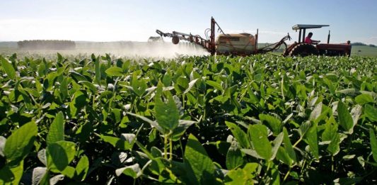 Internet das coisas avança no campo