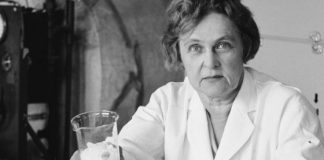 Mulheres que mudaram a engenharia e a ciência: Mária Telkes