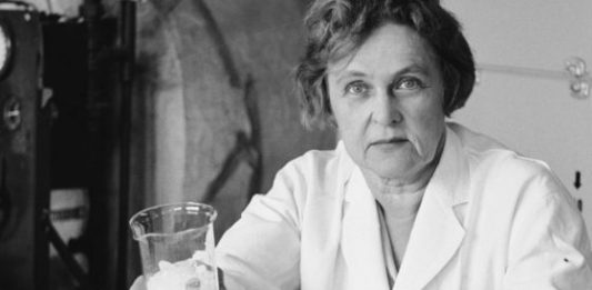 Mulheres que mudaram a engenharia e a ciência: Mária Telkes