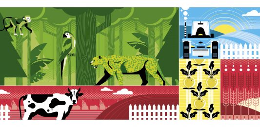 Brasil conseguirá equilibrar agronegócio e sustentabilidade?