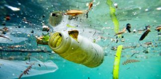 Material Técnico – Seminário Por um Mar Limpo