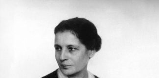 Mulheres que mudaram a engenharia e a ciência: Lise Meitner
