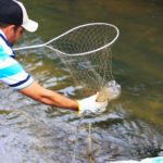 Ecobarreira para conter a poluição de rio já removeu 2 toneladas de lixo das águas em 2 anos