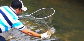 Ecobarreira para conter a poluição de rio já removeu 2 toneladas de lixo das águas em 2 anos