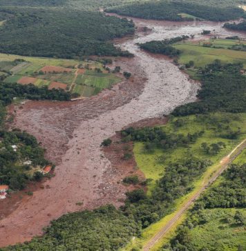 Manifesto do Instituto de Engenharia sobre a tragédia em Brumadinho