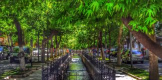 Material Técnico – Infraestrutura verde – uma solução para drenagem urbana