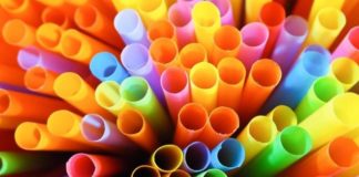 Os materiais encontrados na natureza que podem substituir o plástico