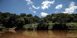 Qualidade da água com relação a metais pesados no Rio Paraopeba após o acidente de Brumadinho
