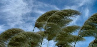 A nova norma brasileira de vento: principais alterações da NBR-6123