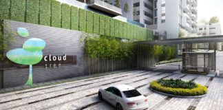 Material Técnico – CloudTree – a revolução na gestão integral da informação