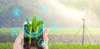 Novas tecnologias para o agronegócio: Uso da tecnologia blockchain e internet das coisas (IoT) na prática