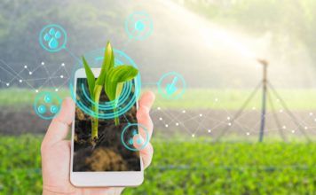 Novas tecnologias para o agronegócio: Uso da tecnologia blockchain e internet das coisas (IoT) na prática