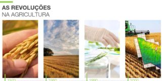 Novas Tecnologias para o agronegócio: Suporte à decisão de plantar e o monitoramento à irrigação e a hora da colheita, à distância, para automação gerencial e cultivo inteligente