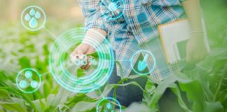 Novas Tecnologias para o agronegócio: Suporte à decisão de plantar e o monitoramento à irrigação e a hora da colheita