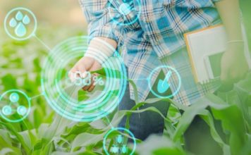 Novas Tecnologias para o agronegócio: Suporte à decisão de plantar e o monitoramento à irrigação e a hora da colheita