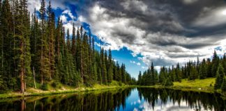 5 de junho: Dia Mundial do Meio Ambiente